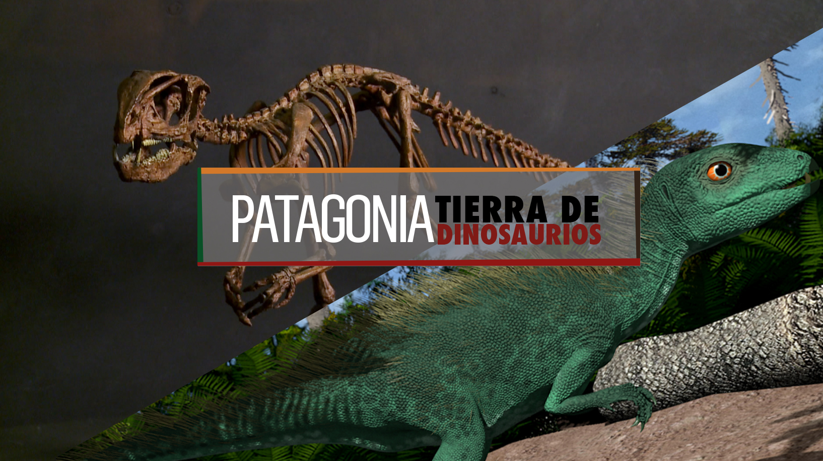 placa patagonia tierra de dinos